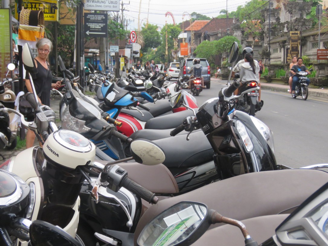 bali 4_bustling ubudjpg copy