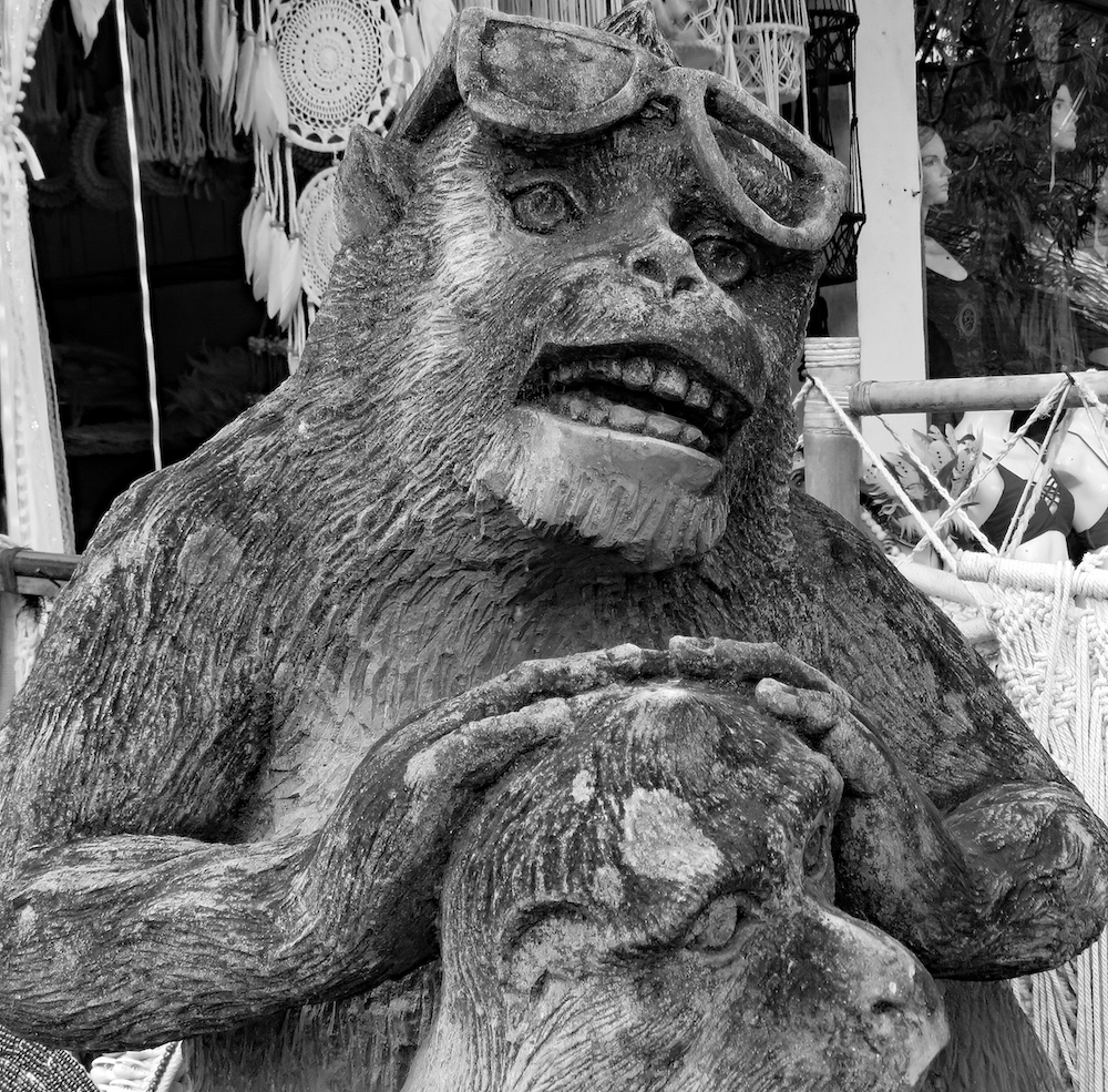 bali 4_cool monkey bw_edited-1 copy