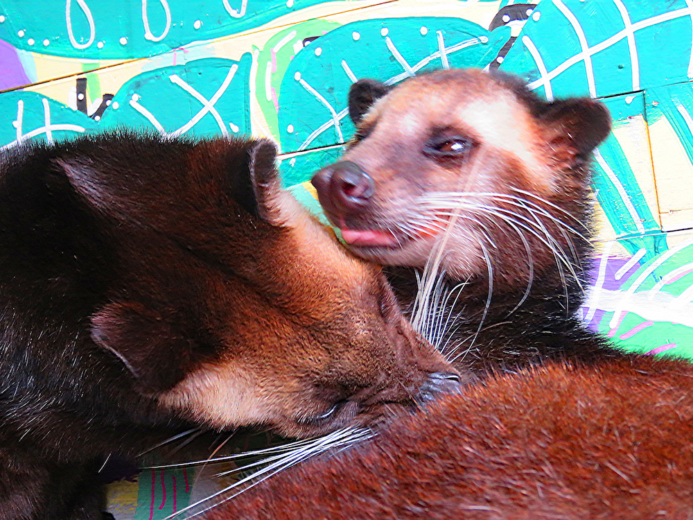 bali 4_lewaks at play_edited-1 copy