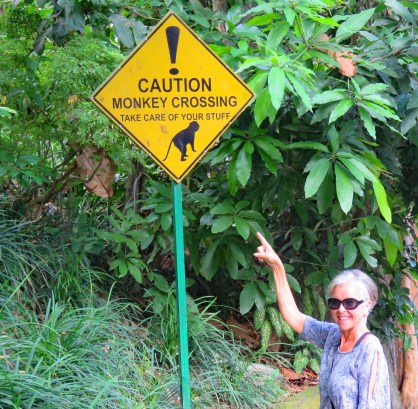 bali 4_monkey caution_edited-1