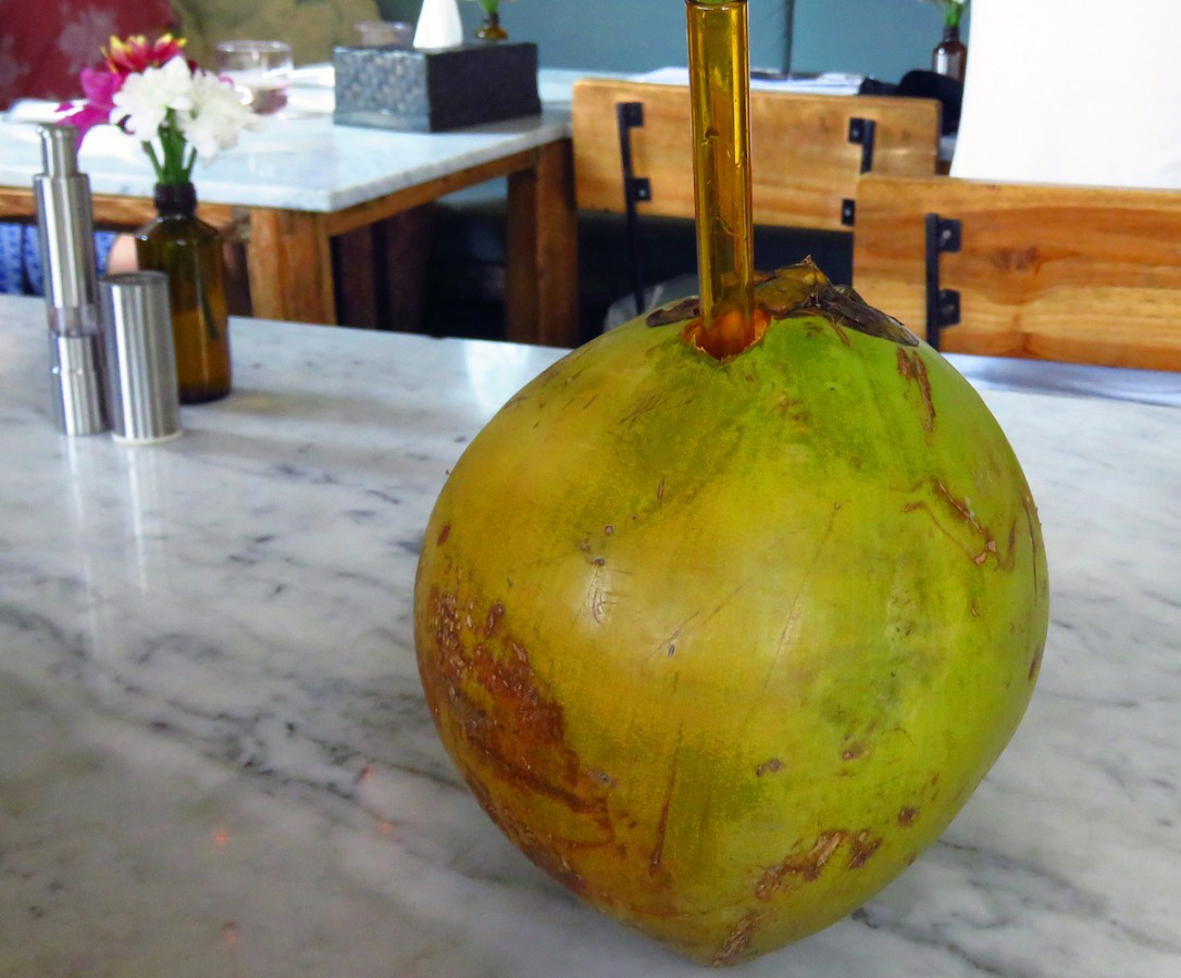 bali 7_coconut water_edited-1 copy