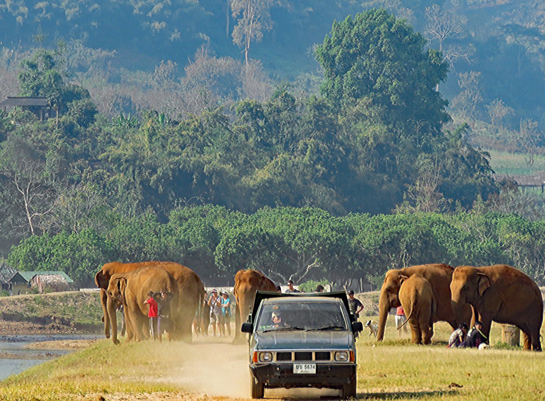 CM EL Day 3_morning at ENP_edited-1