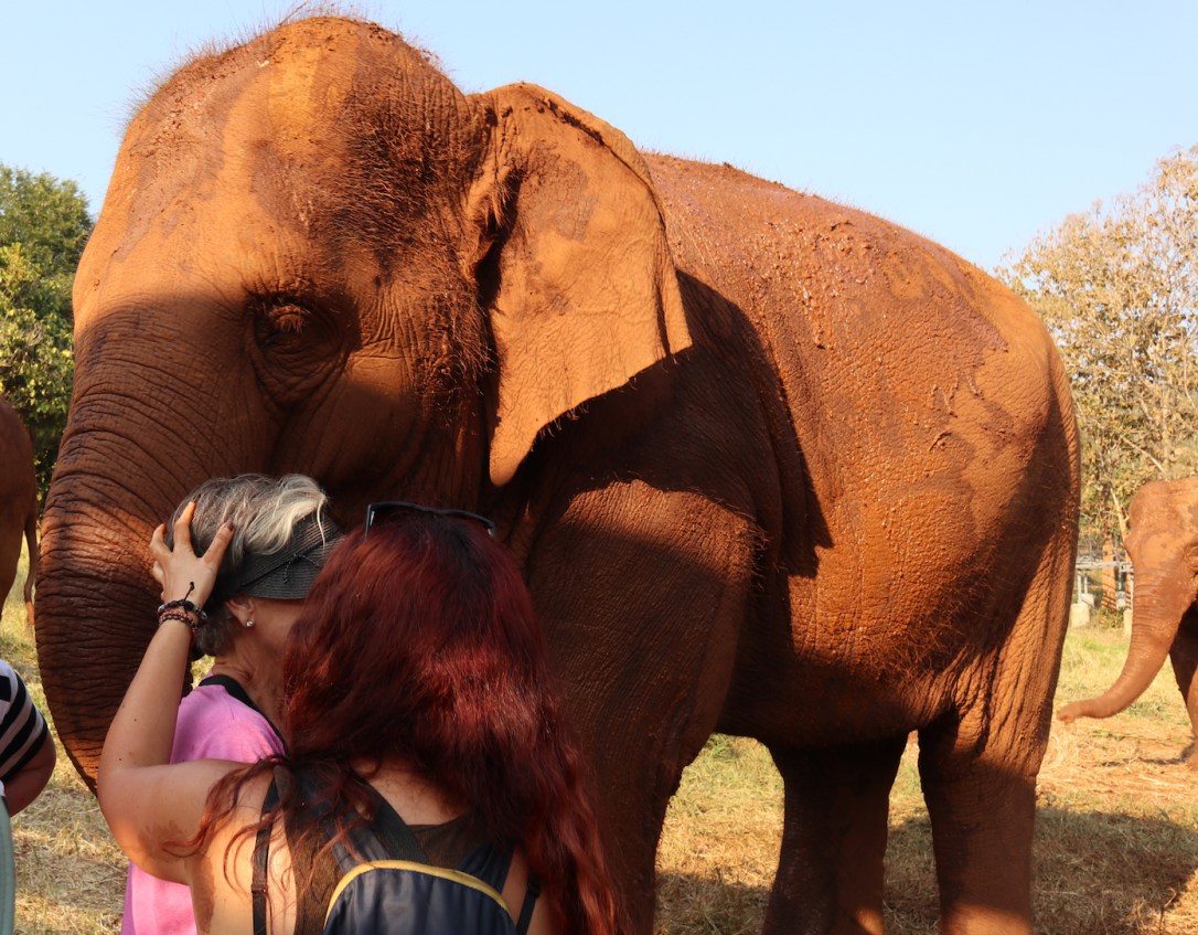 CM EL Day 4 New_Bev in the thick of it copy