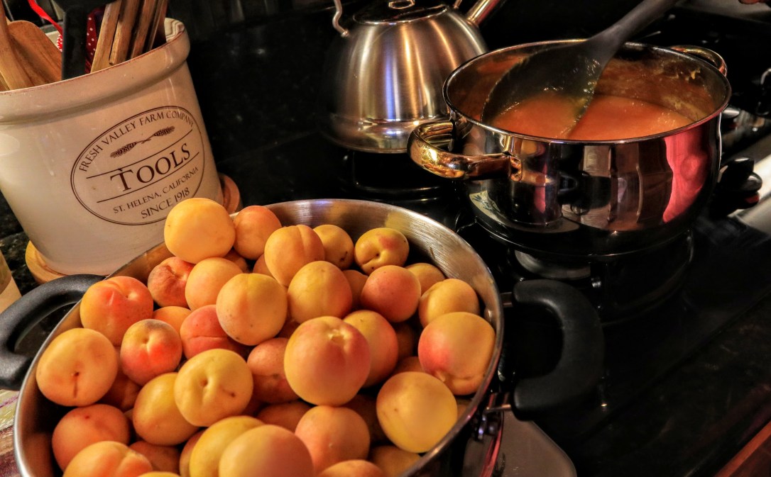 iapricots_abundant-crop