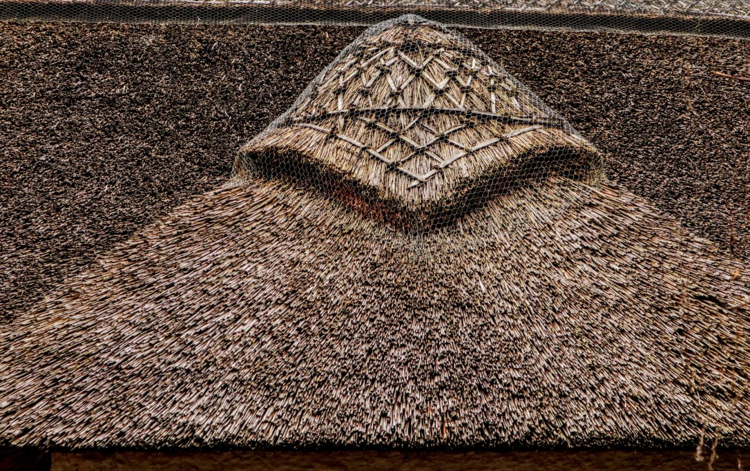 Adare_thatch