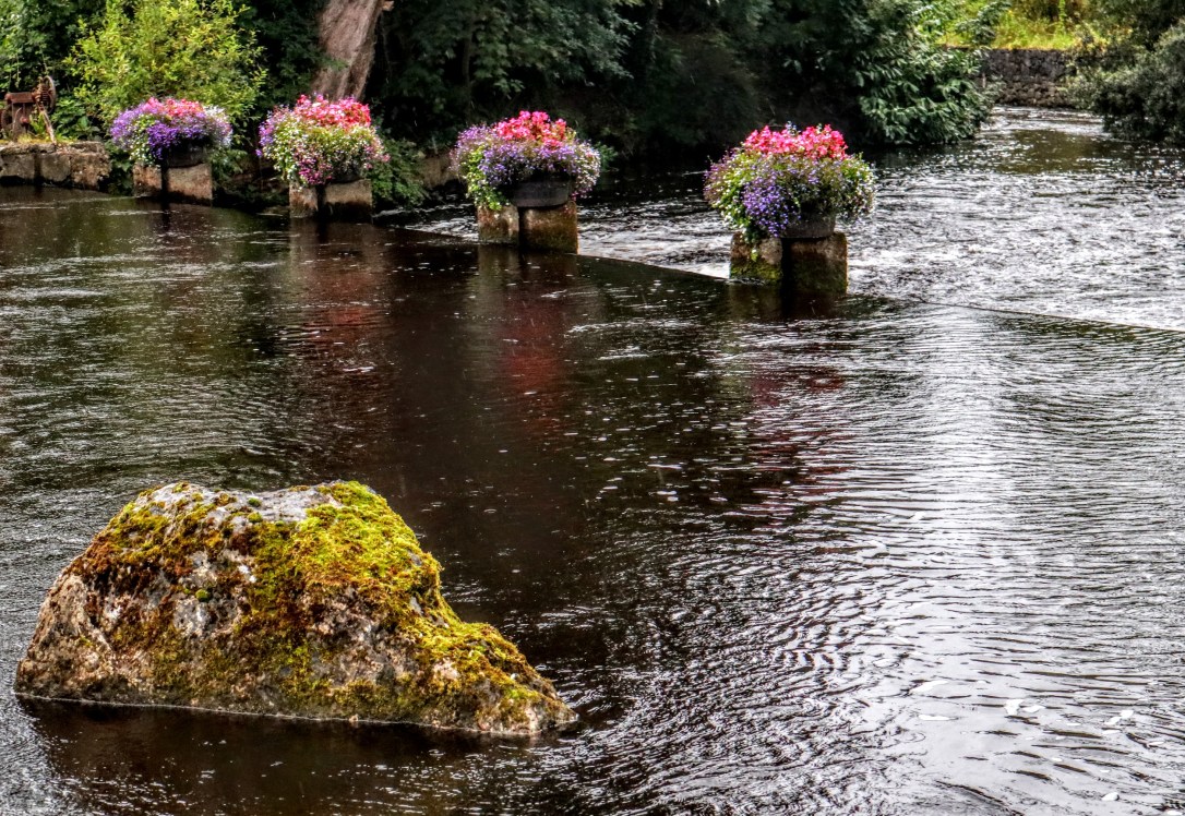 Ennis_river of flowers