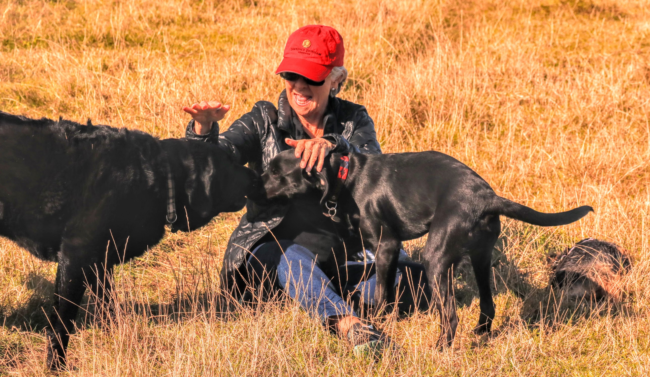 NC Day 17_Bev at Play