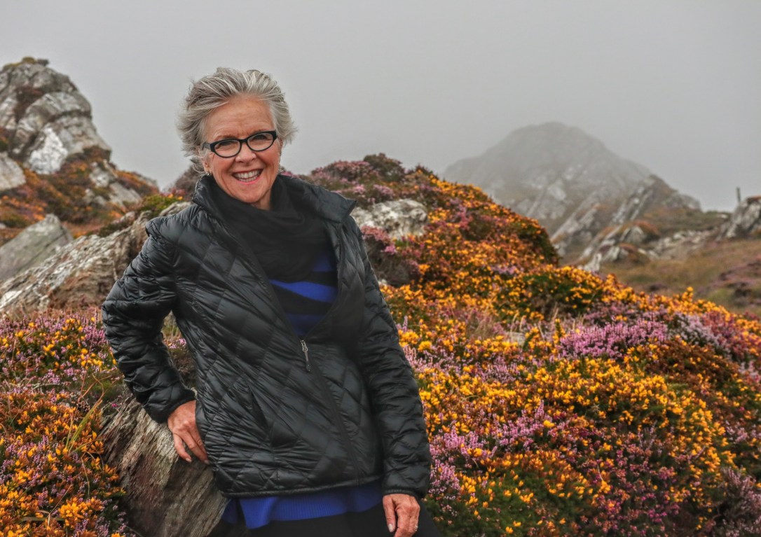 sheeps head_bev on heather and fog
