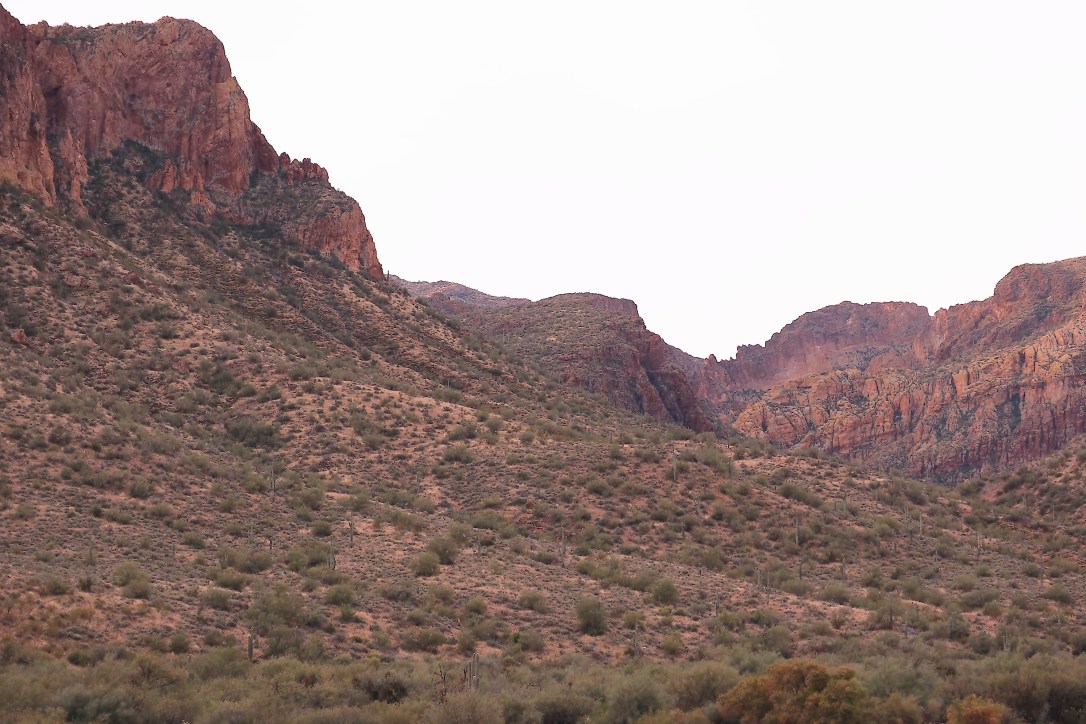 FH Mustangs_11 27 19_0806_inPixio