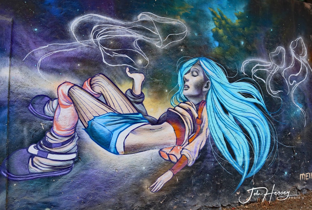 01 17 20_blue girl mural_edited-2