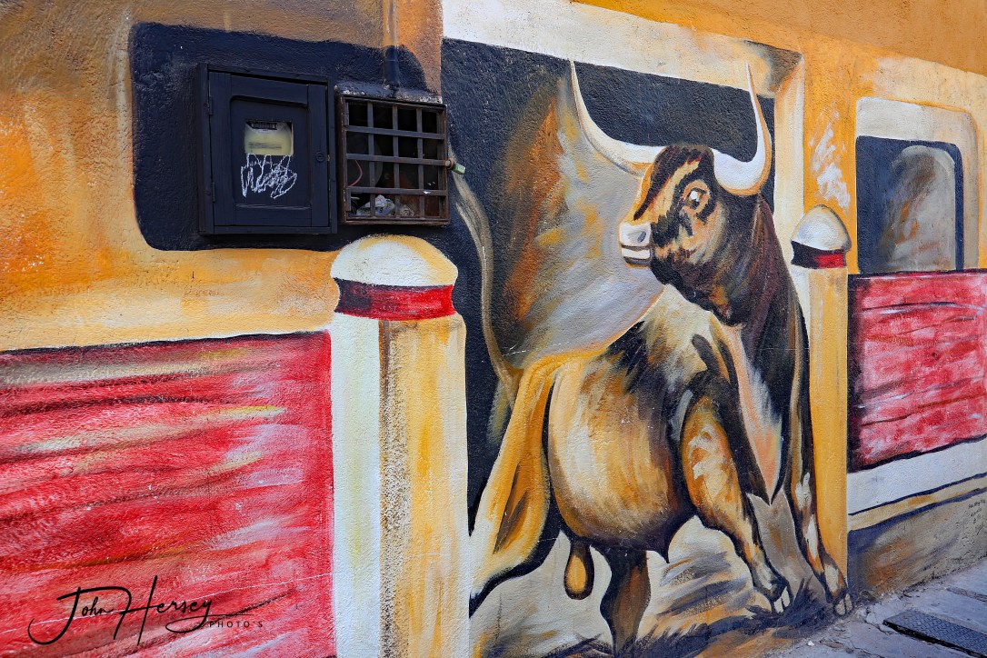 01 17 20_Bull_edited-2