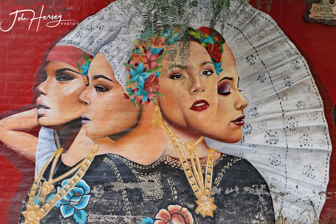 01 17 20_mujer de mexico street mural_edited-2