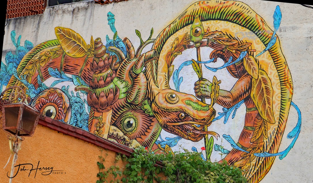 01 17 20_snake on roof_edited-2