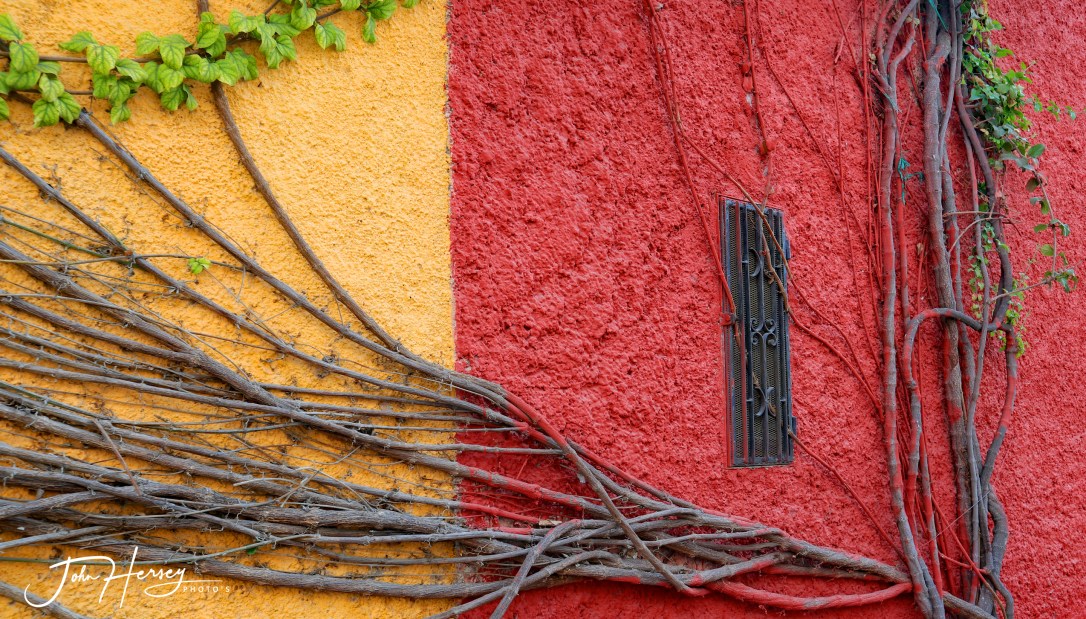 01 17 20_yellow red wall_edited-2