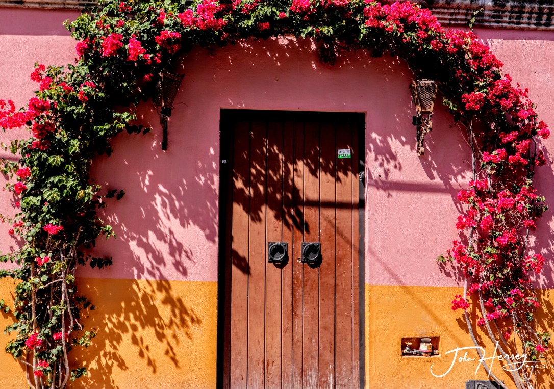 sma street art tour_2020 Mar 12_Bouganvilla door_edited-2