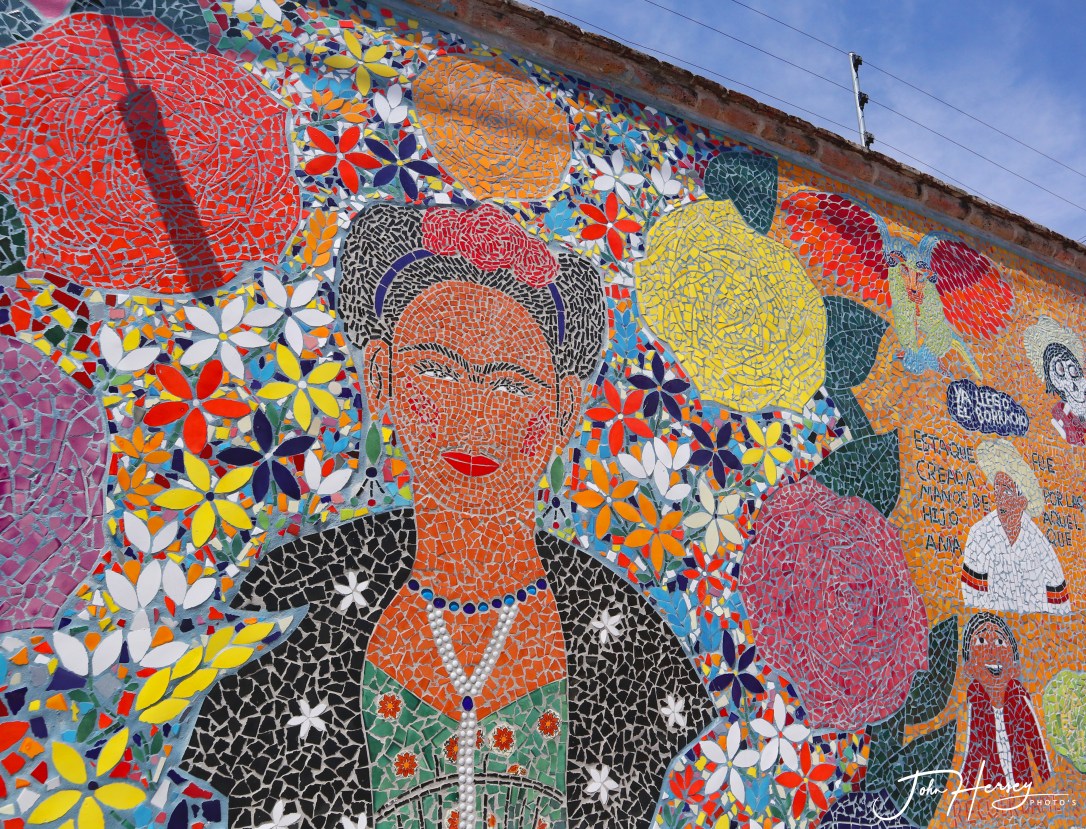 sma street art tour_2020 Mar 12_Frida Tiles_edited-2