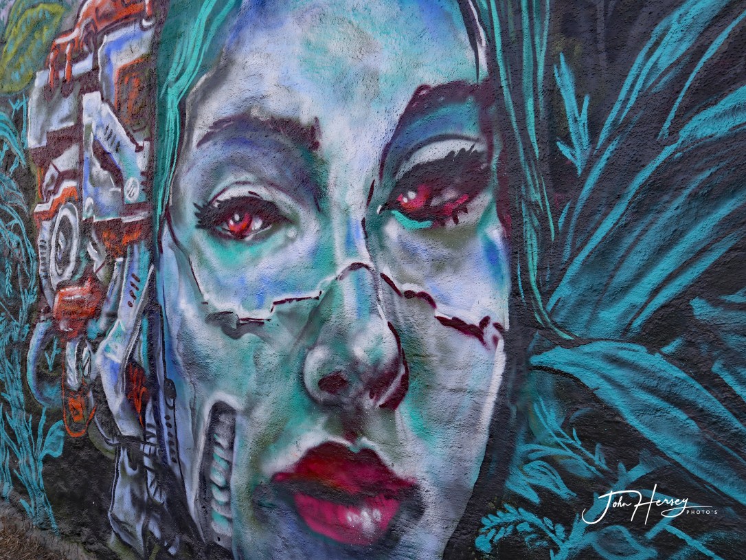 sma street art tour_2020 Mar 12_green goddess_edited-2