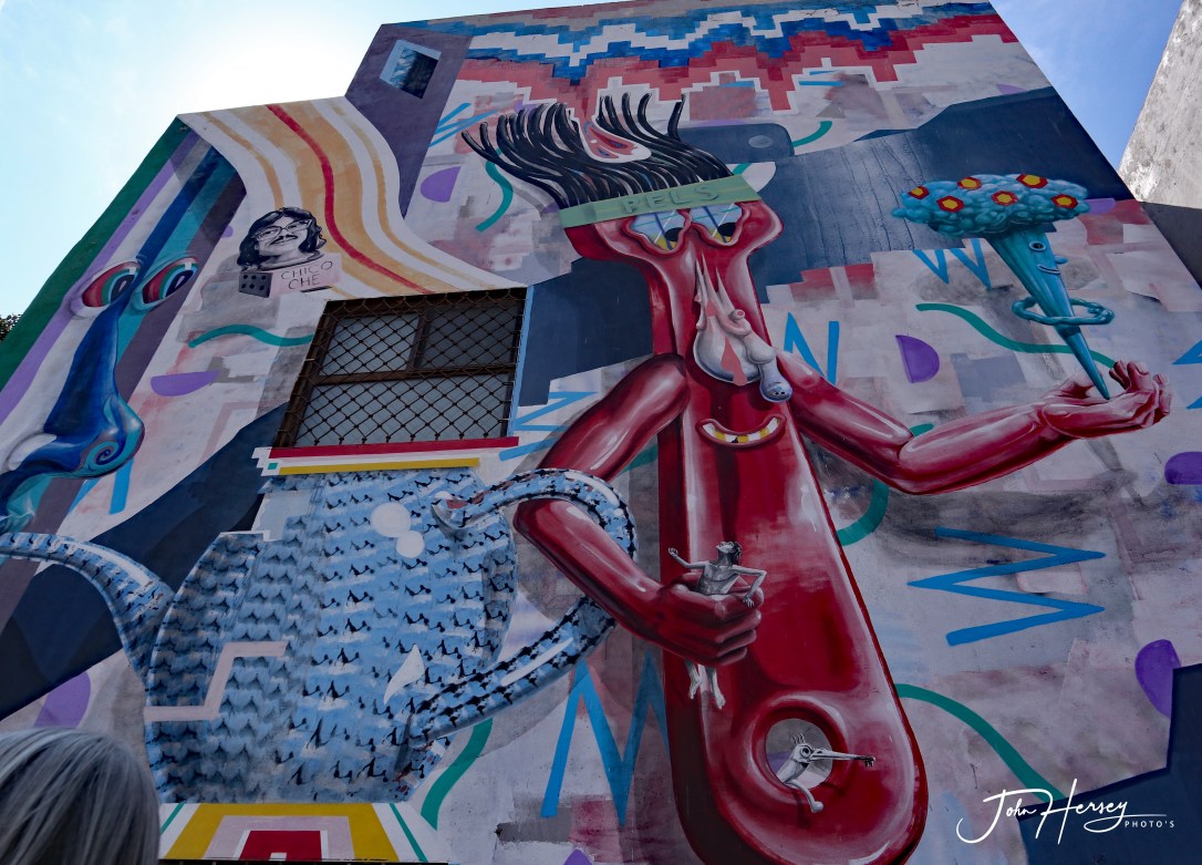 sma street art tour_2020 Mar 12_Gumby_edited-2
