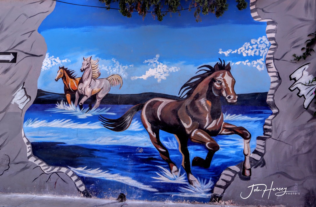 sma street art tour_2020 Mar 12_Horses_edited-2