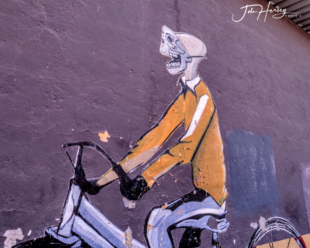 sma street art tour_2020 Mar 12_skeleton on bike_edited-2