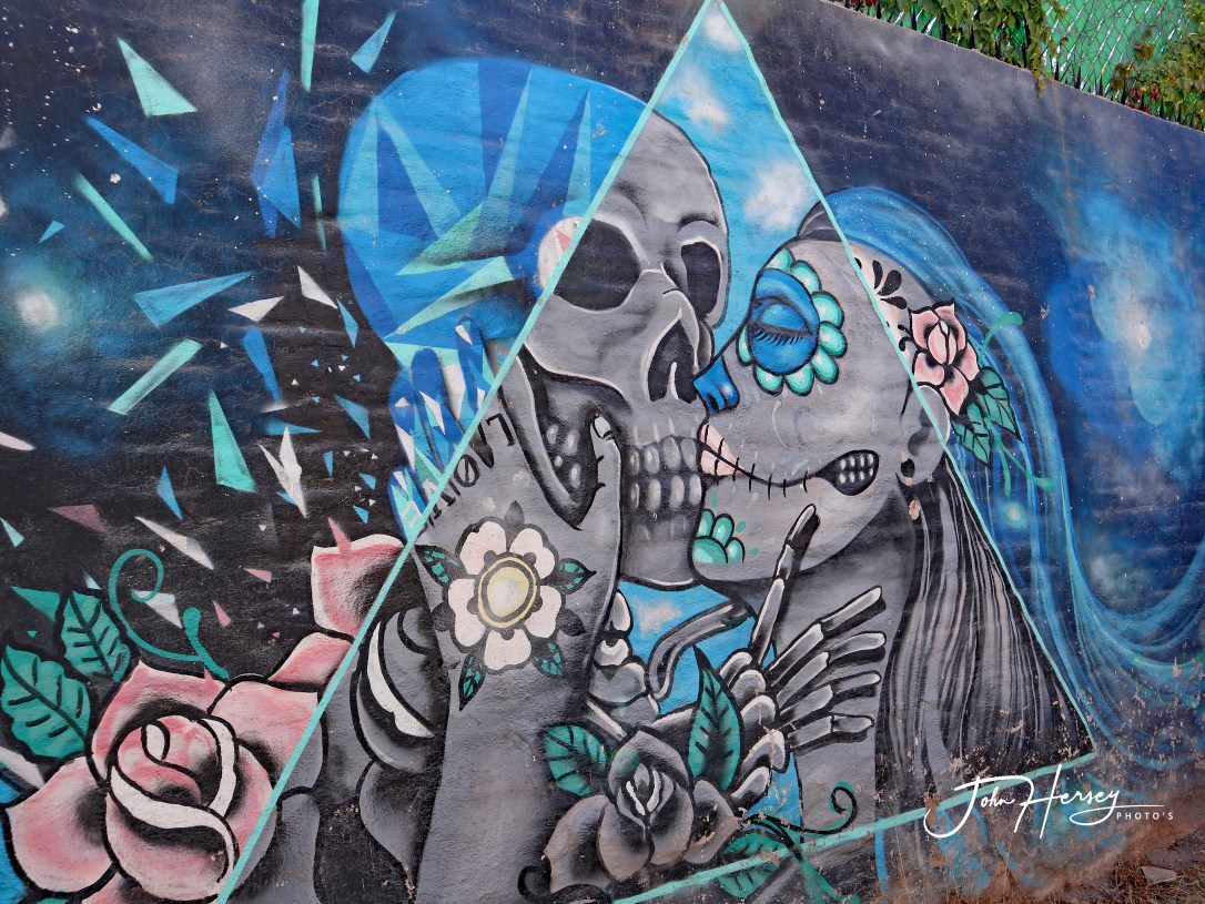 sma street art tour_2020 Mar 12_skeletons_edited-2