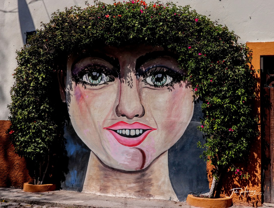 sma street art tour_2020 Mar 12_Woman green hair_edited-2