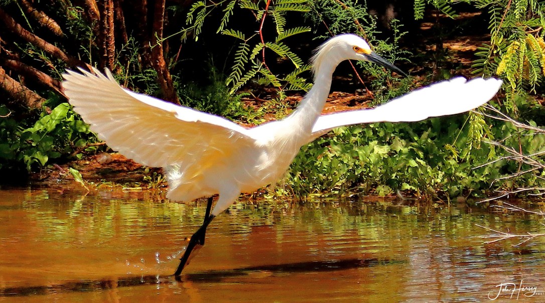 AZ Reparian_2020 Apr 17_lift off_edited-2