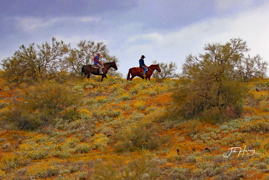 cave creek_2020 Apr 11_Two Riders_edited-3