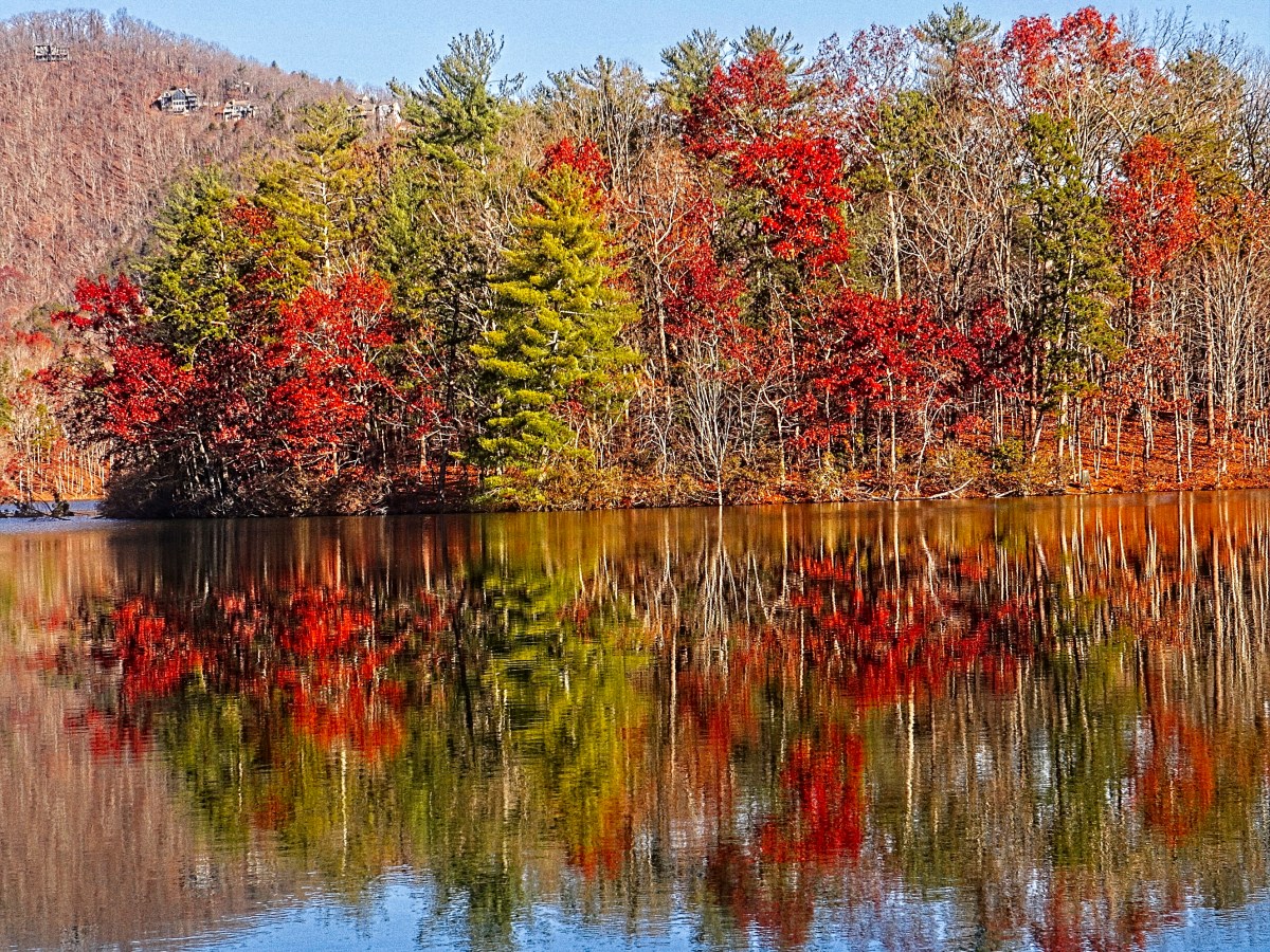 Big Surprise in Big&nbsp;Canoe