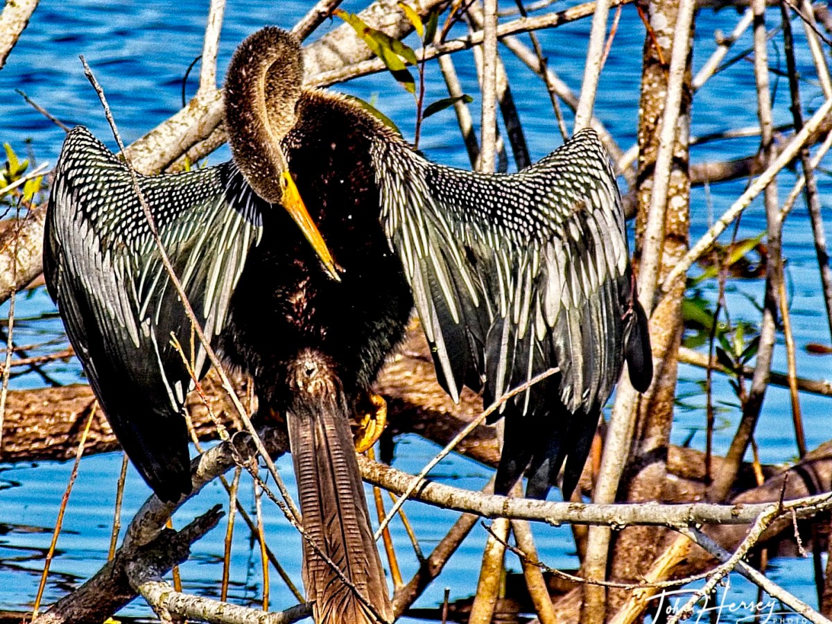 We’re Back and More Excited Than Ever: Traveling After the Pandemic&nbsp;Lockdown