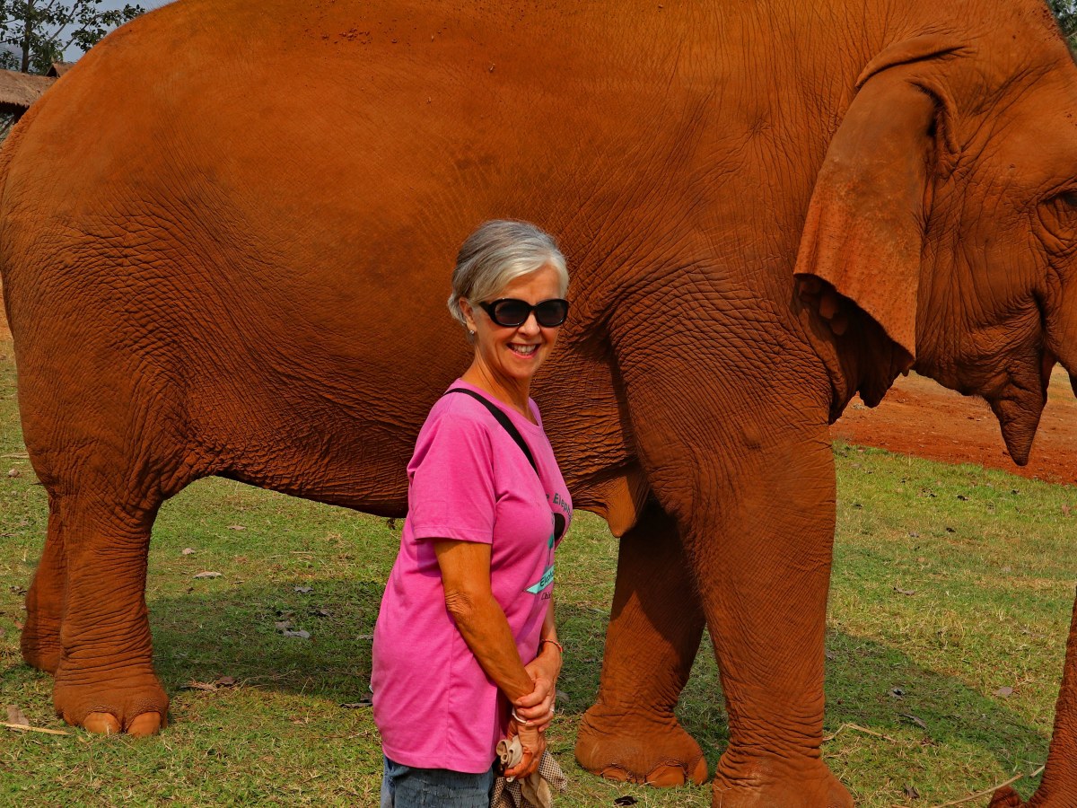 An Elephant’s Smooch